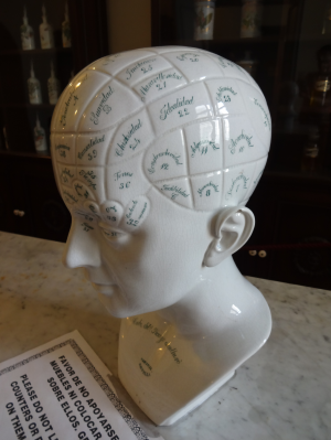 Phrenology model in Museo de la Farmacia